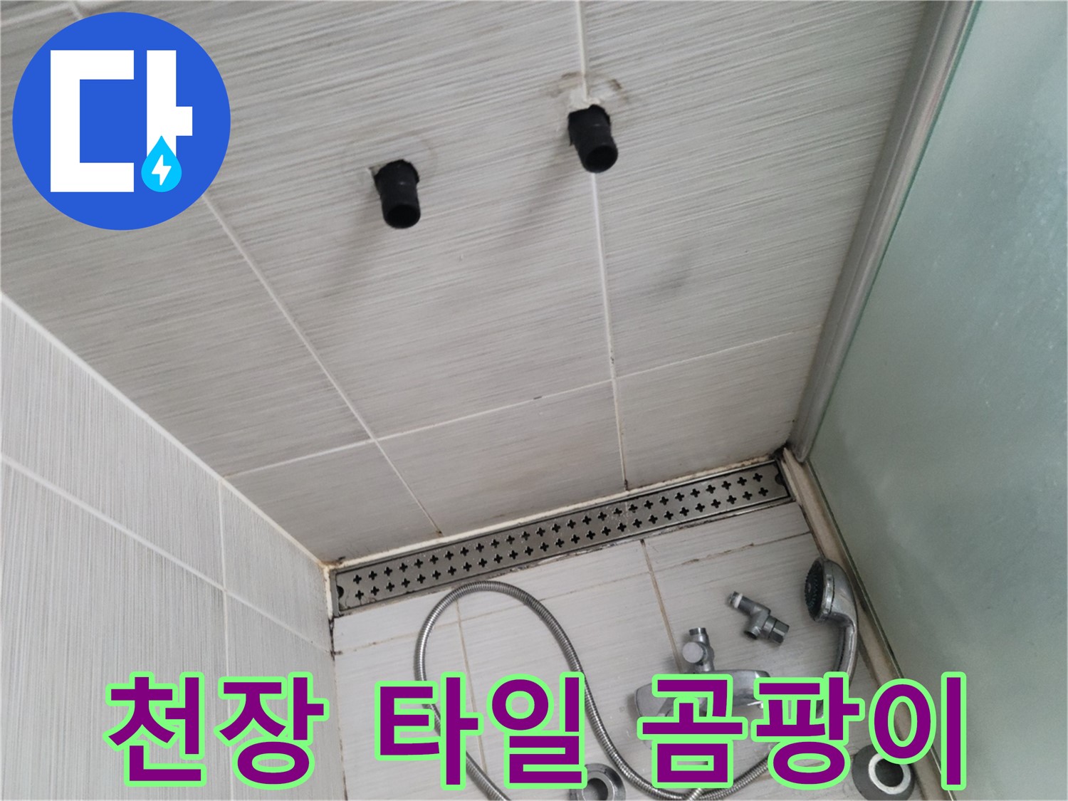동두천 신창비바 - 샤워기 철거 후 천장 타일 틈새의 곰팡이 - 청소가 시급한 상태
