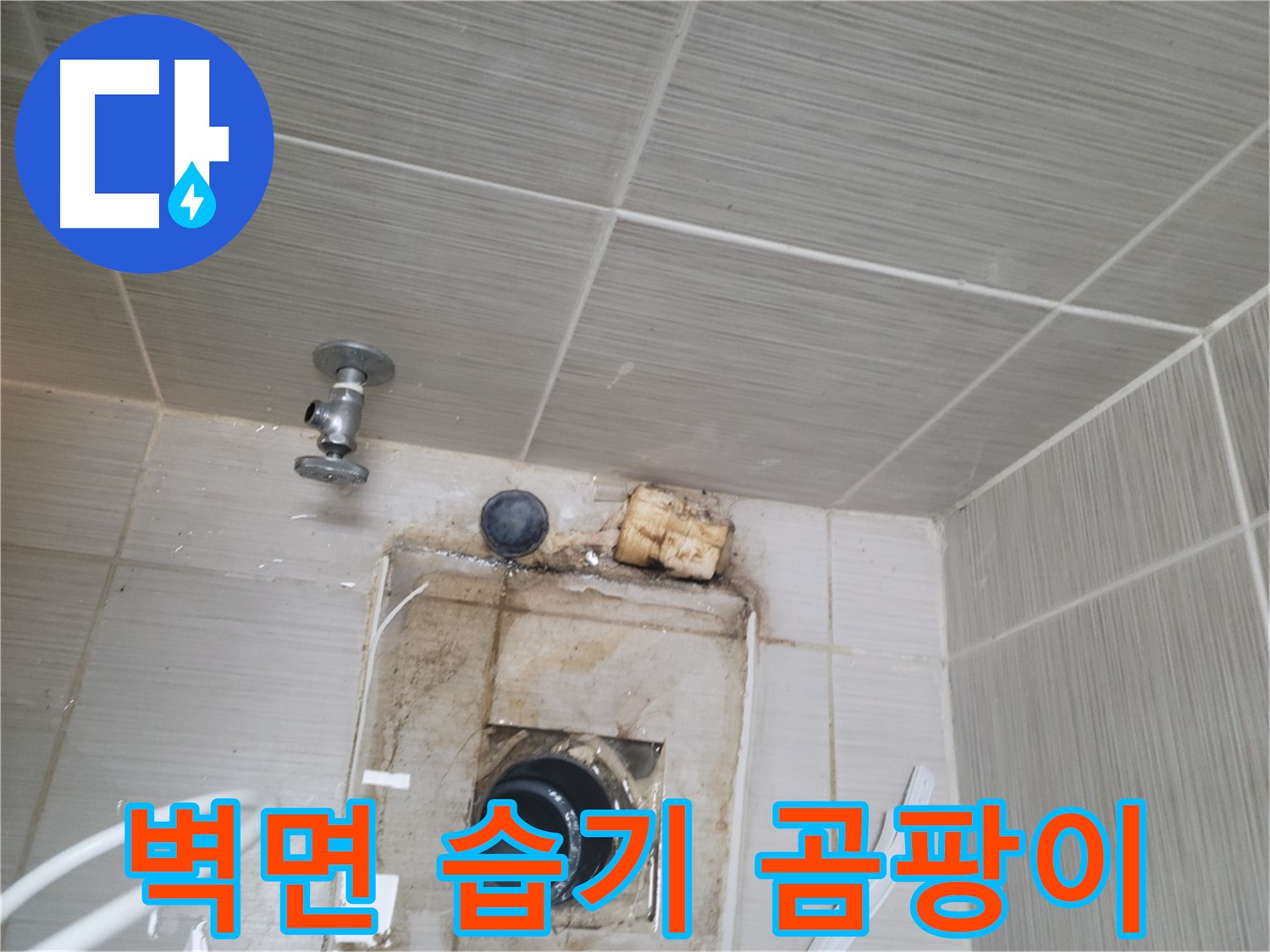 동두천 신창비바패밀리-2단지 벽면 습기 및 곰팡이 발생