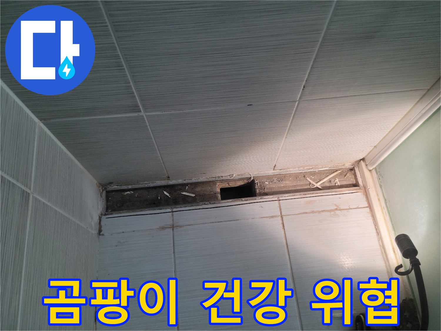동두천 신창비바패밀리 욕실 천장 누수 - 곰팡이가 건강에 미치는 영향