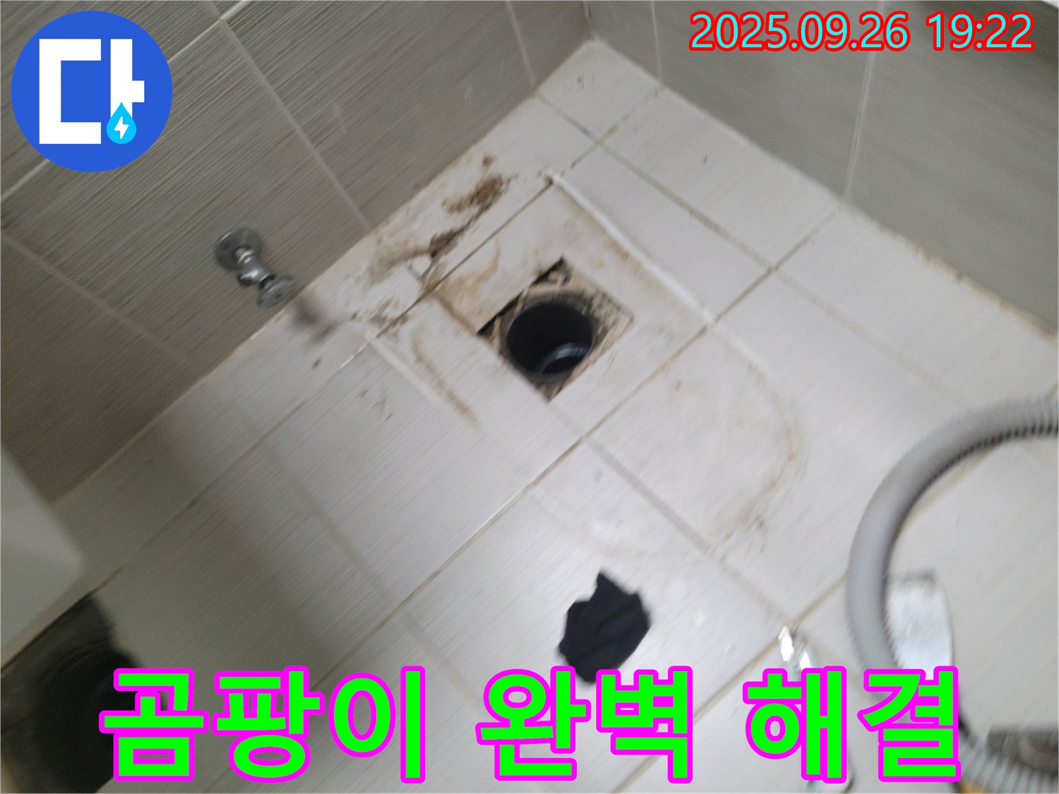 동두천 욕실 누수 - 배수구 주변 곰팡이와 누수 의심, 꼼꼼한 진단 및 완벽 해결