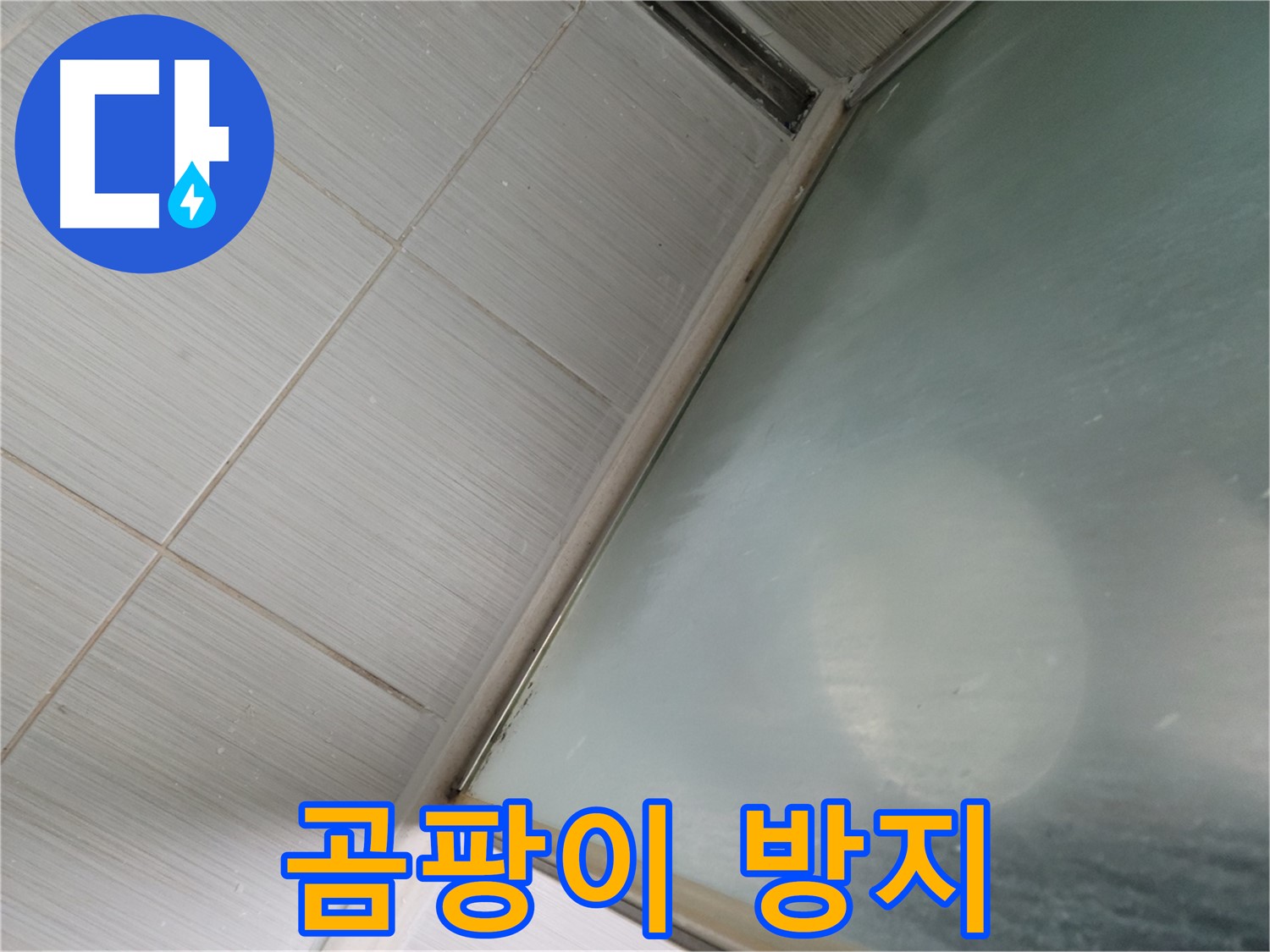 동두천시 상봉암동 샤워부스 곰팡이 방지 - 실리콘 관리 및 청소 방법 - 누수 전문가