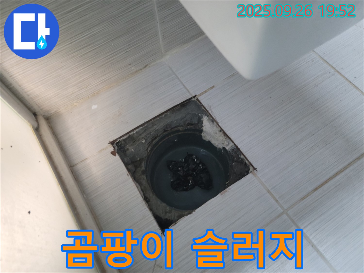 동두천시 송내동 누수 - 욕실 하수구 곰팡이 슬러지 막힘