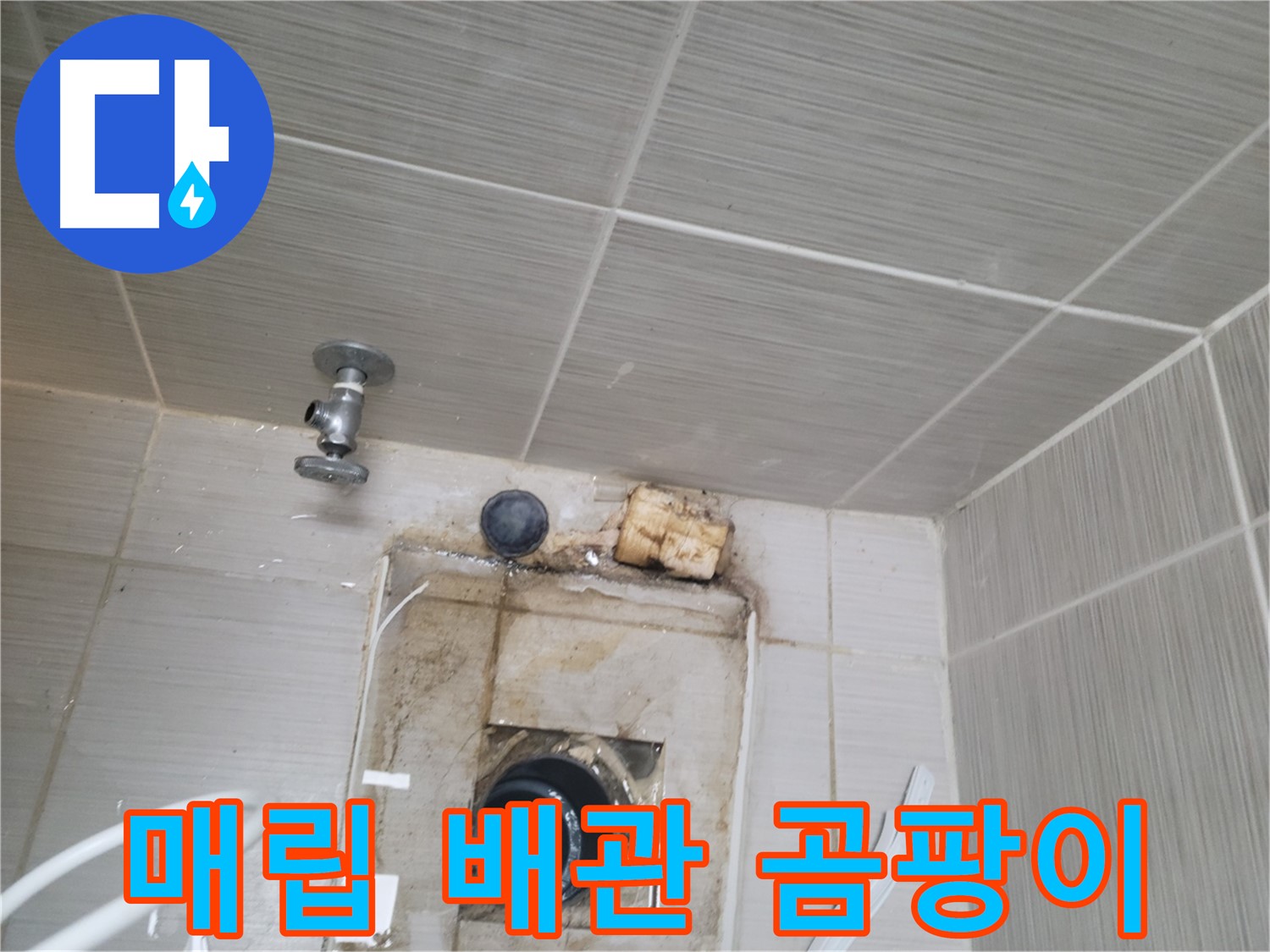 동두천시 중앙동 신창비바패밀리 - 벽 매립 배관 주변 곰팡이 - 심각한 누수 의심