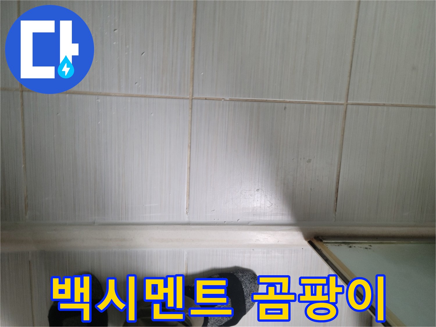 백시멘트 곰팡이 - 누수 전문가가 꼼꼼하게 점검하는 모습입니다.