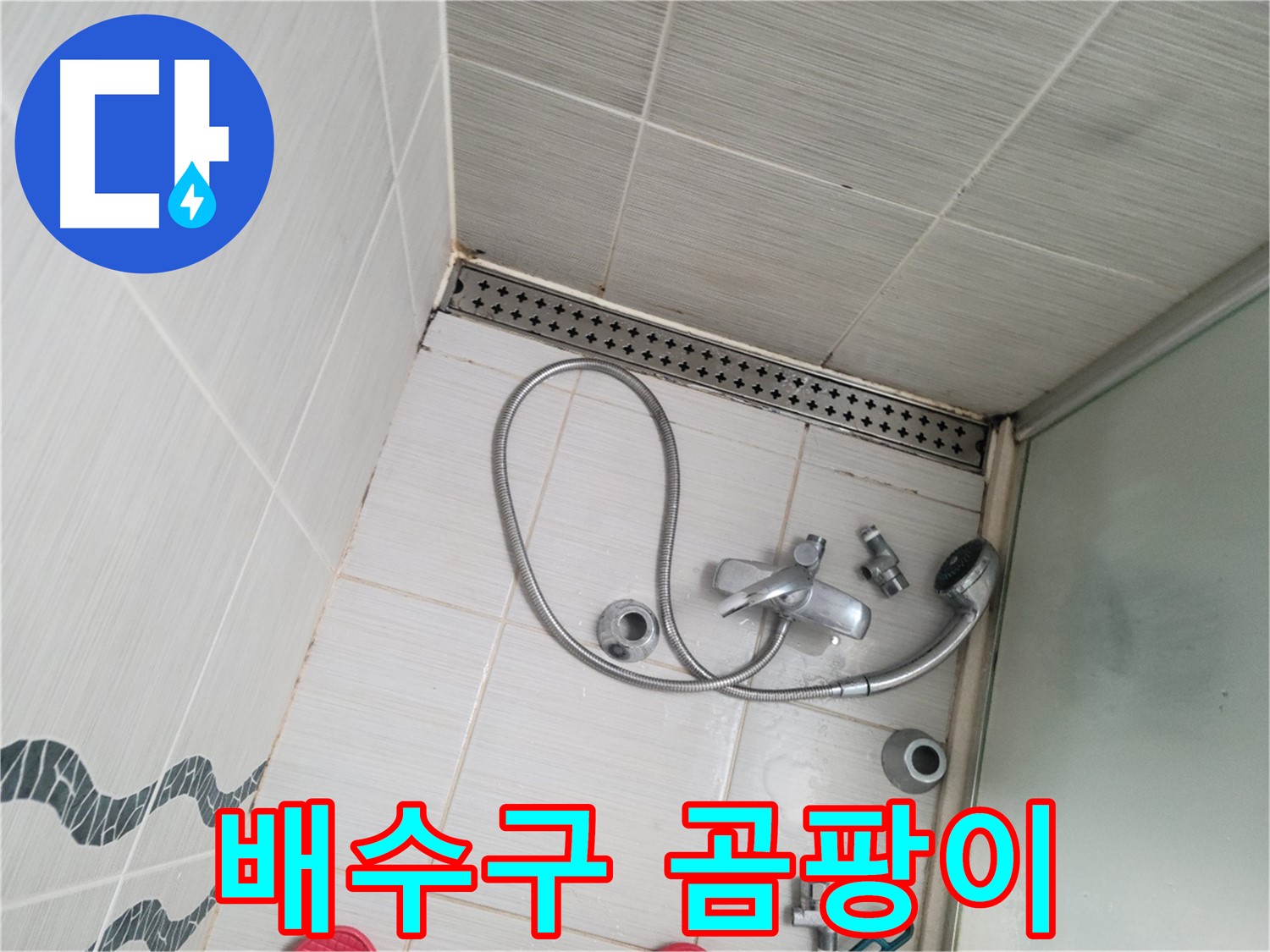 샤워기 배수구 주변 곰팡이 - 불결