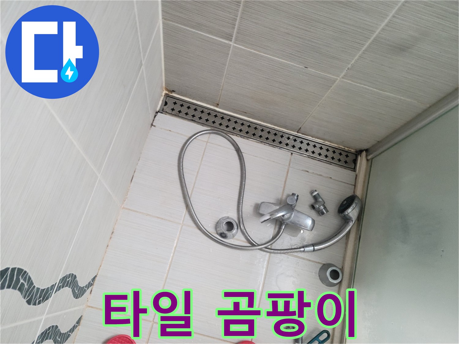 샤워기 수전 주변 타일 곰팡이 심각 - 건강 위협