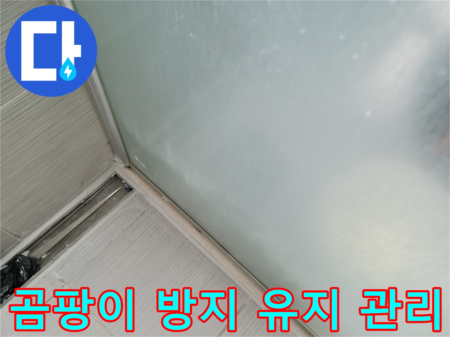 샤워부스 누수 - 곰팡이 방지 실리콘 - 깨끗한 샤워실 유지