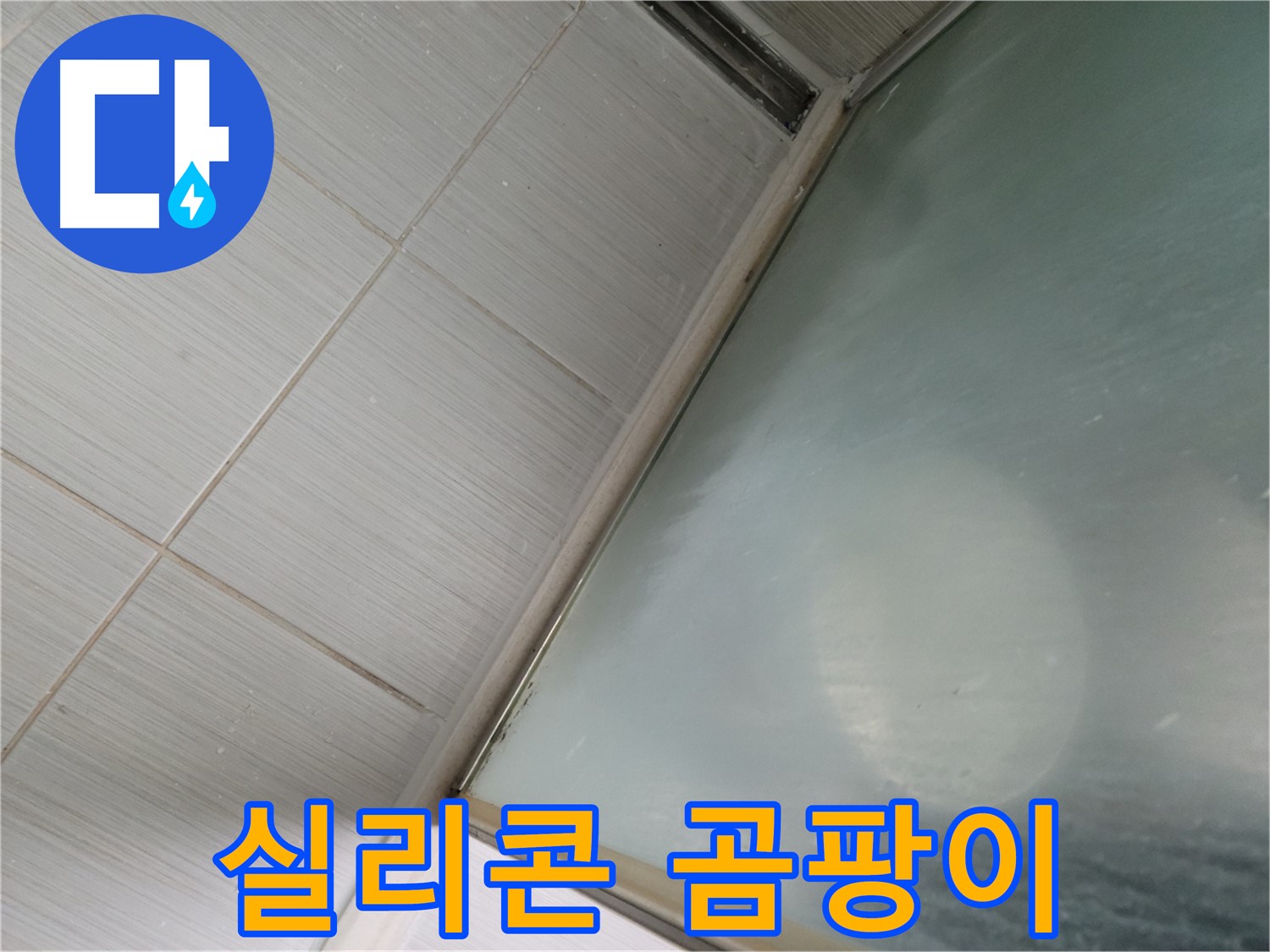 샤워부스 실리콘 곰팡이 - 동두천 누수 전문가가 누수 여부를 정확하게 진단합니다.