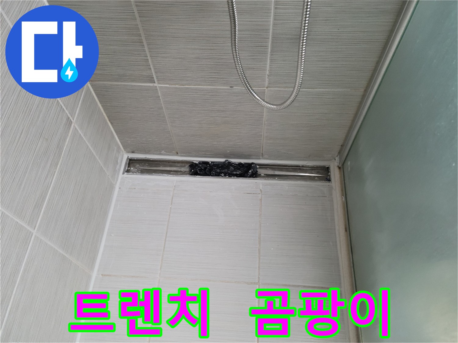 샤워부스 트렌치 - 곰팡이 아수라장! - 끔찍해!