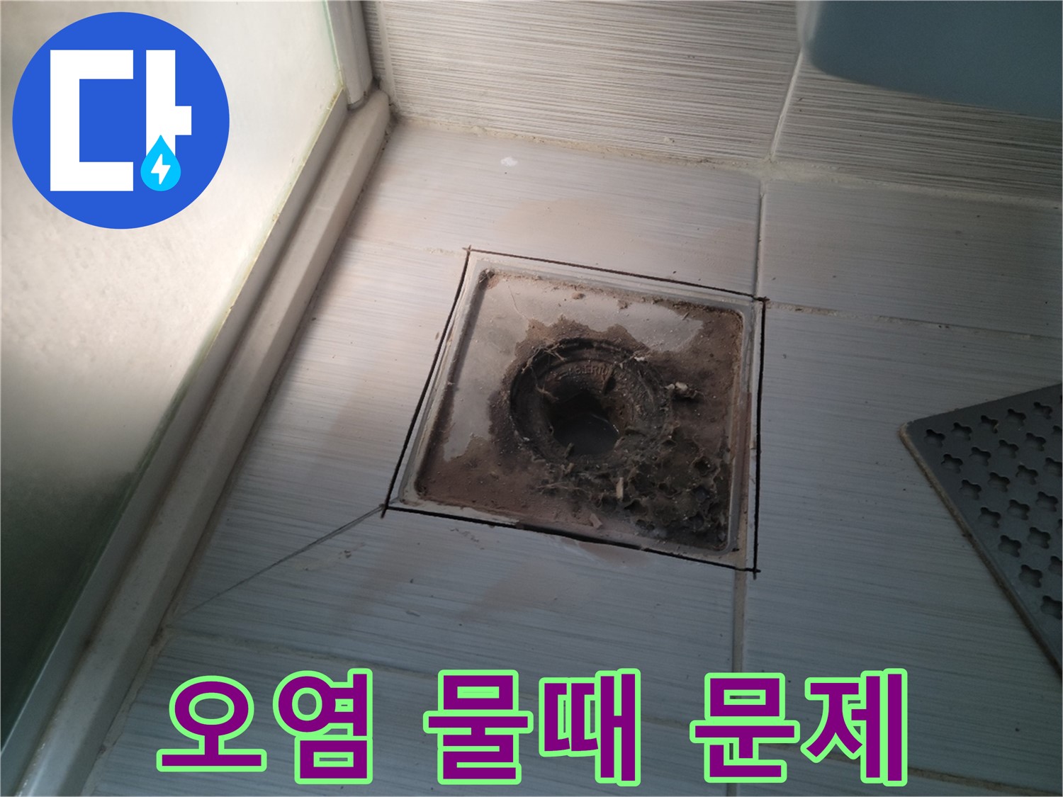신창비바패밀리 욕실 배수구 주변 - 심각한 오염과 물때 문제 발생 확인