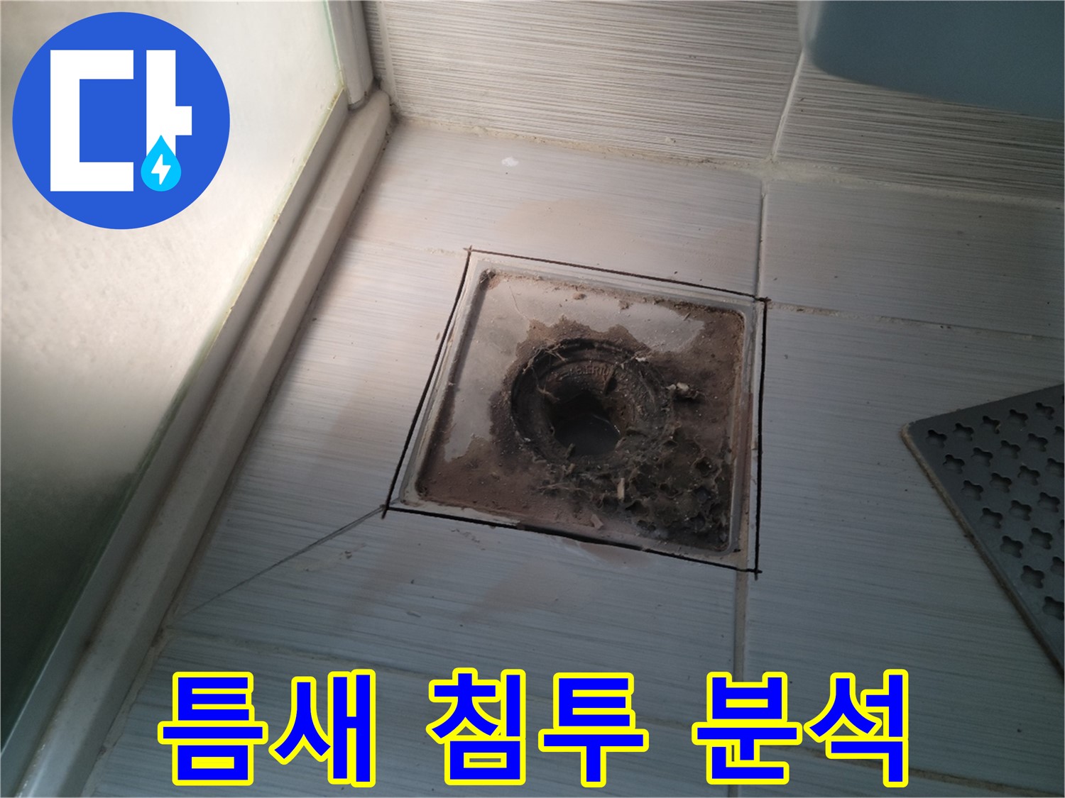 신창비바패밀리 욕실 배수구 - 타일 틈새로 물이 계속 침투!