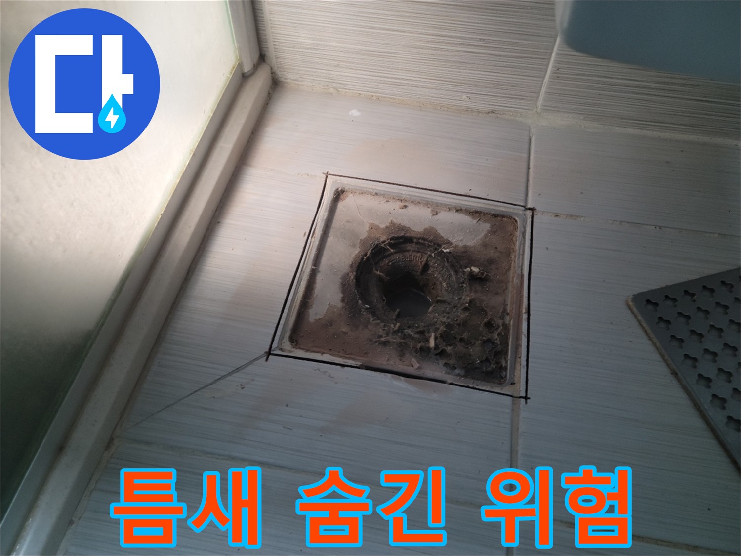 신창비바패밀리 욕실 배수구 - 타일 틈새의 숨겨진 위험!