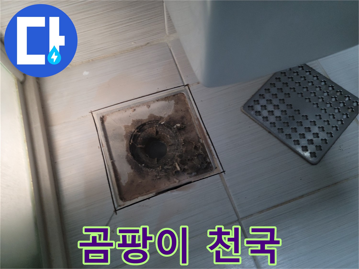 욕실 배수구 - 곰팡이 천국 - 살균 소독으로 청결하게