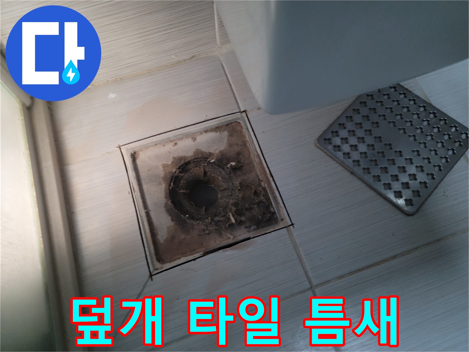 욕실 배수구 덮개 - 타일 틈새 곰팡이 - 깨끗하게
