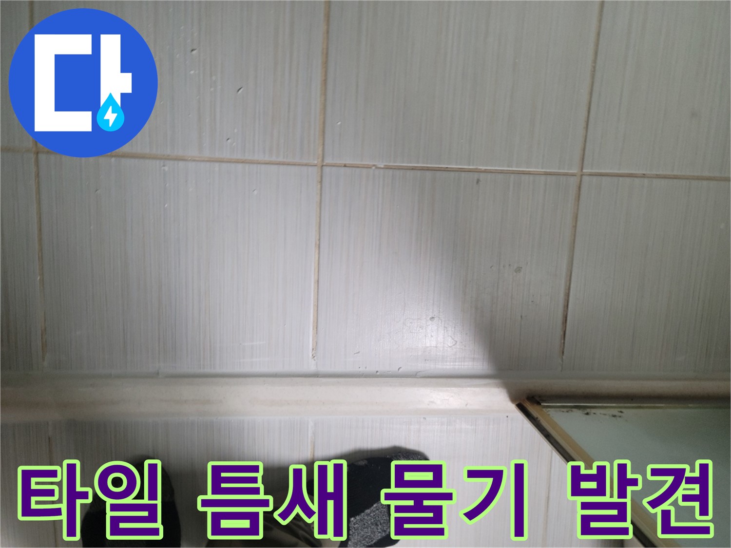 타일 틈새 물기 발견 - 작은 물기라도 놓치지 마세요. 누수의 시작일 수 있습니다.