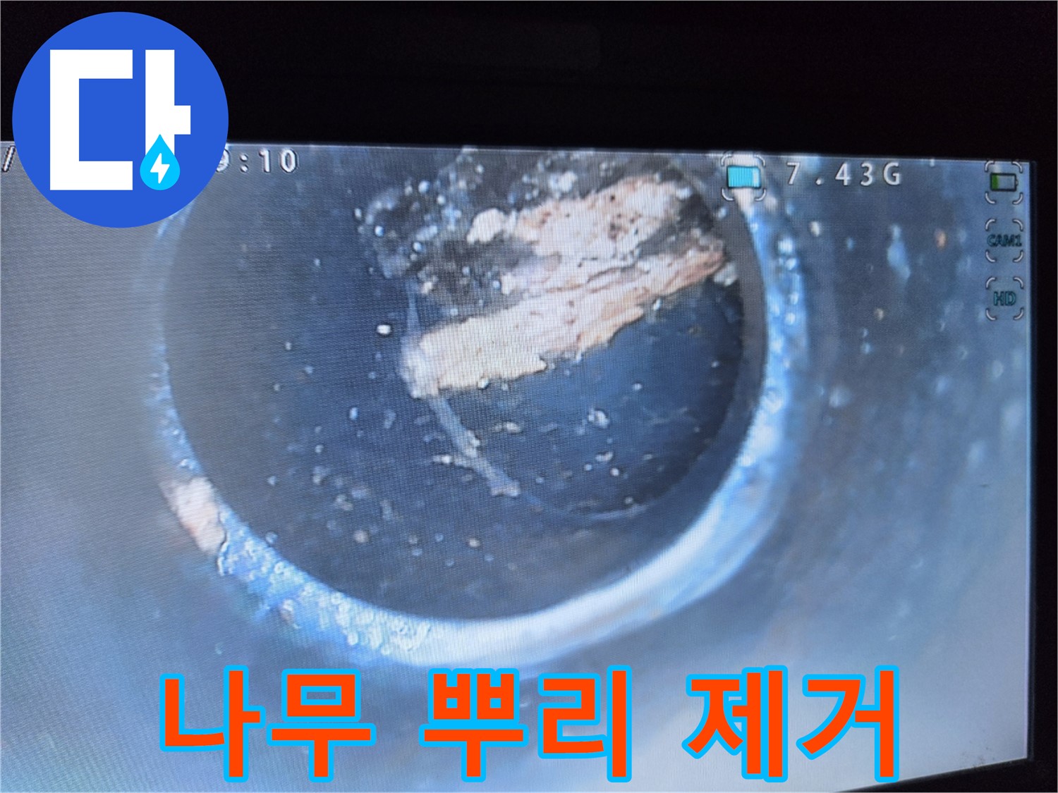 양천구 신월2동 누수 - 배관 속 나무 뿌리 제거 완료