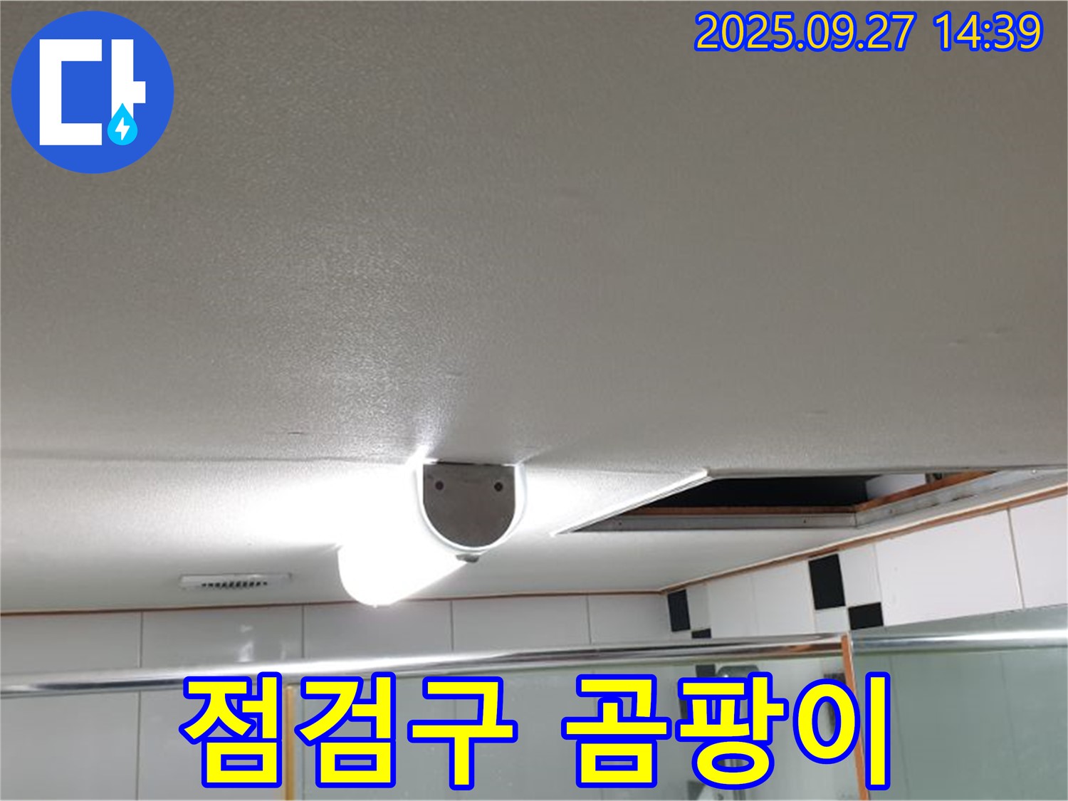 양주시 광적면 광석리 화장실 천장 점검구 주변 - 곰팡이가 심하게 발생한 모습입니다.