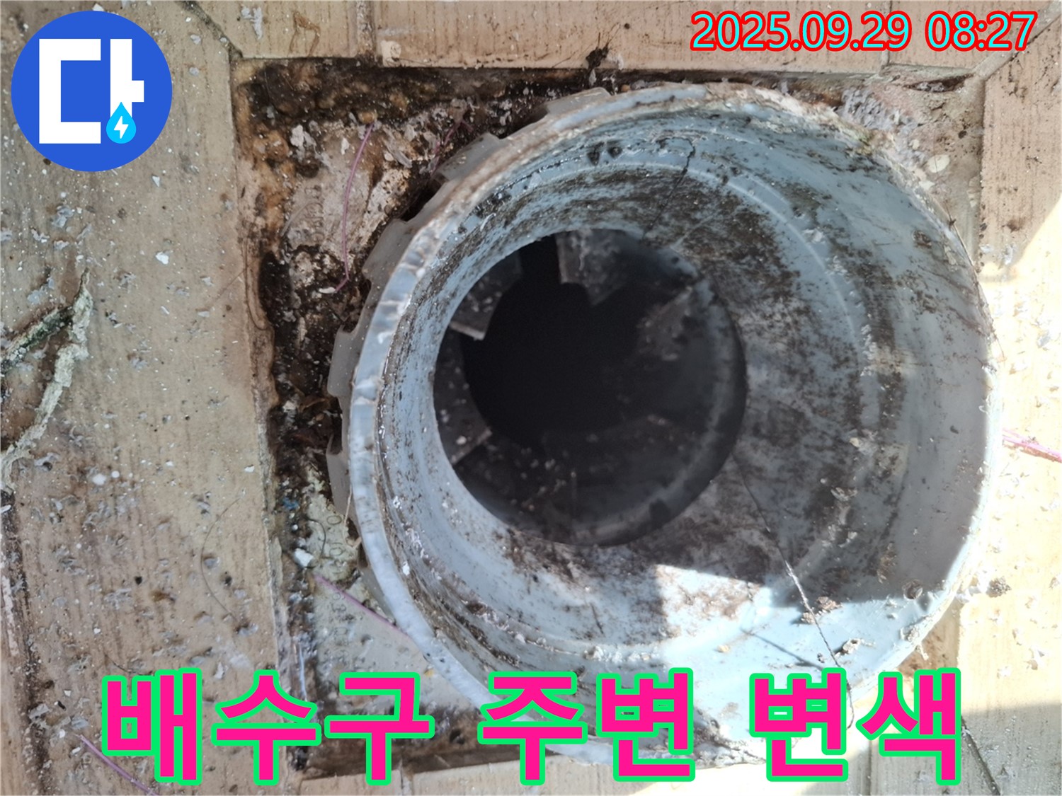 양주시 광적면 우고리 - 배수구 주변 변색으로 인한 누수 의심
