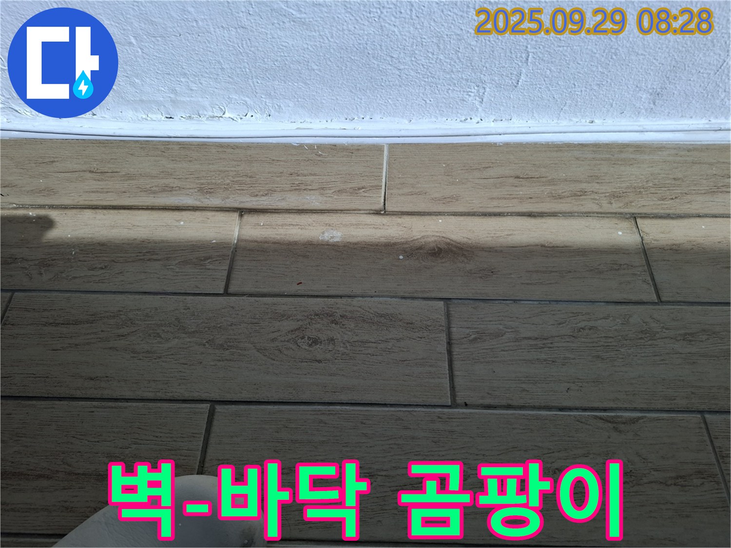 양주시 광적면 우고리 - 벽과 바닥 타일 사이 곰팡이 문제 - 누수 전문가가 해결합니다.
