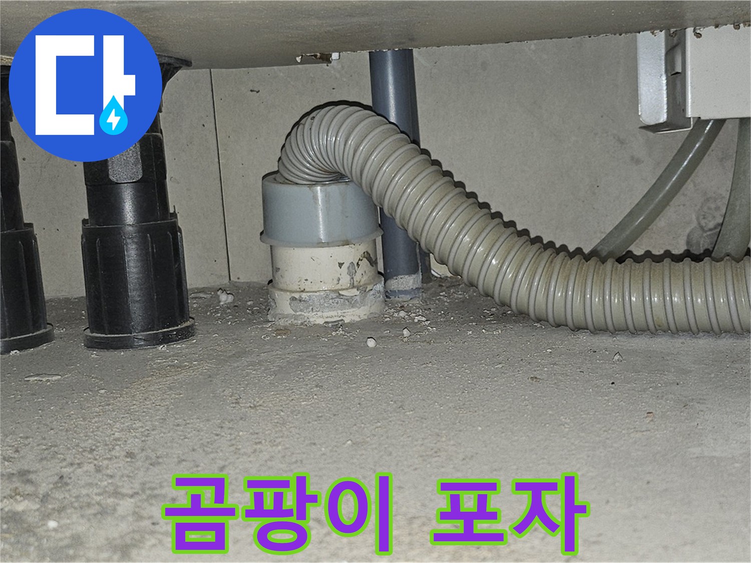 도봉구 누수 - 싱크대 하수구 연결 부위 곰팡이 포자 발견