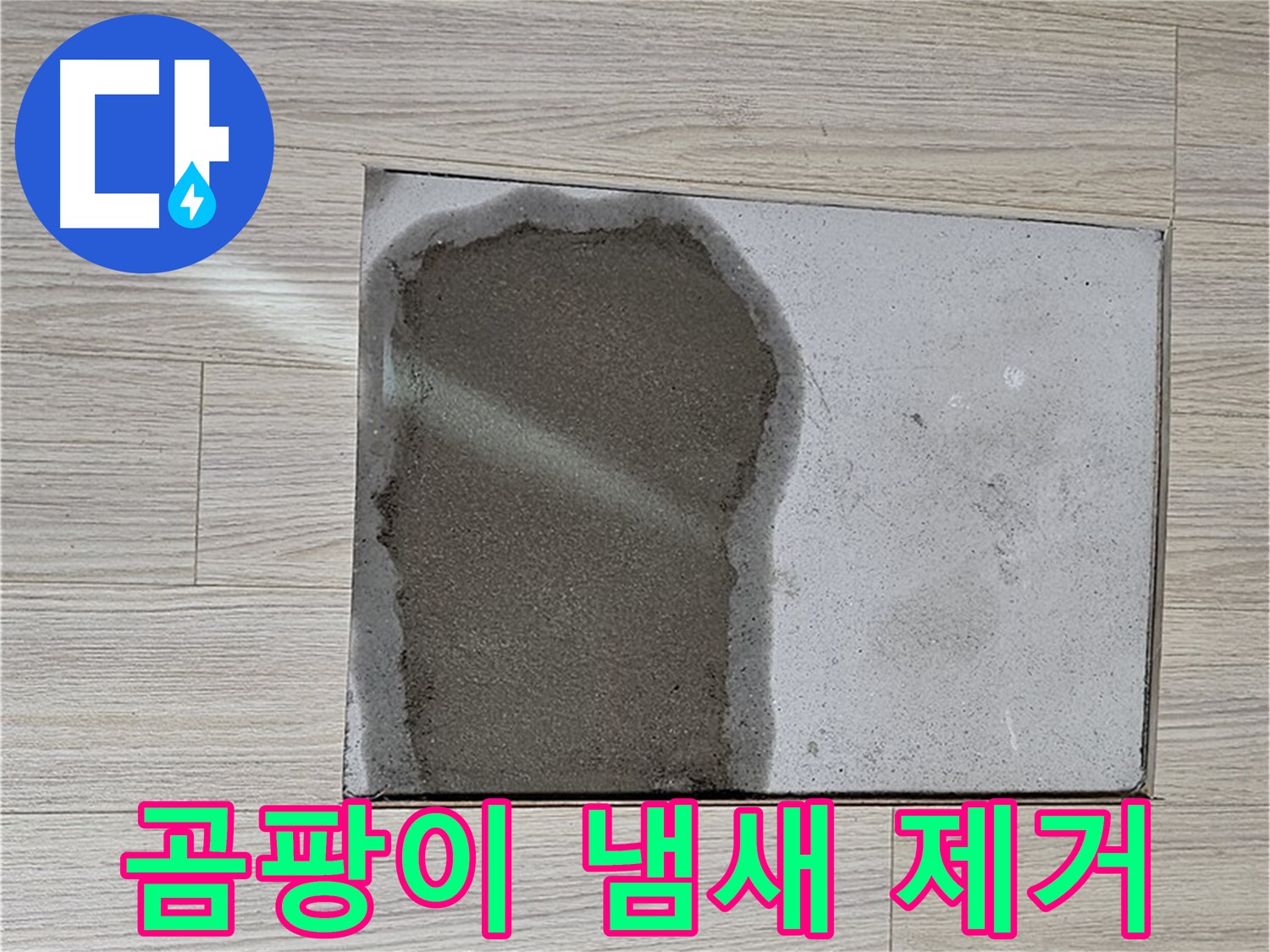 도봉구 도봉동 현대시티 - 마루 곰팡이, 냄새까지 깨끗하게 제거
