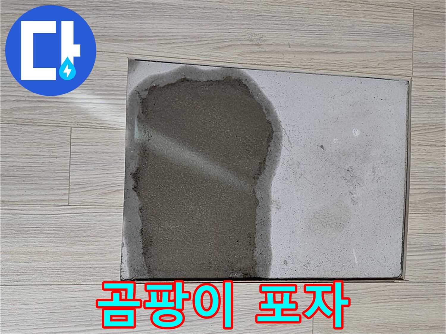 도봉구 도봉동 현대시티 - 마루 철거 후 젖은 콘크리트 - 곰팡이 포자 주의