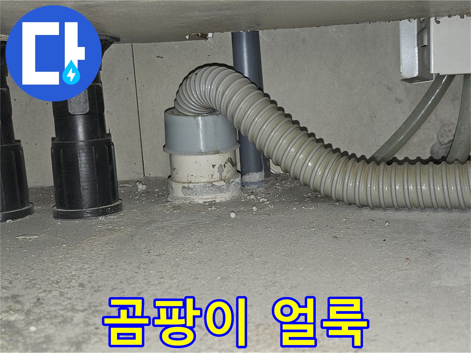현대시티 누수 - 싱크대 하수구 주변 백시멘트 곰팡이 얼룩