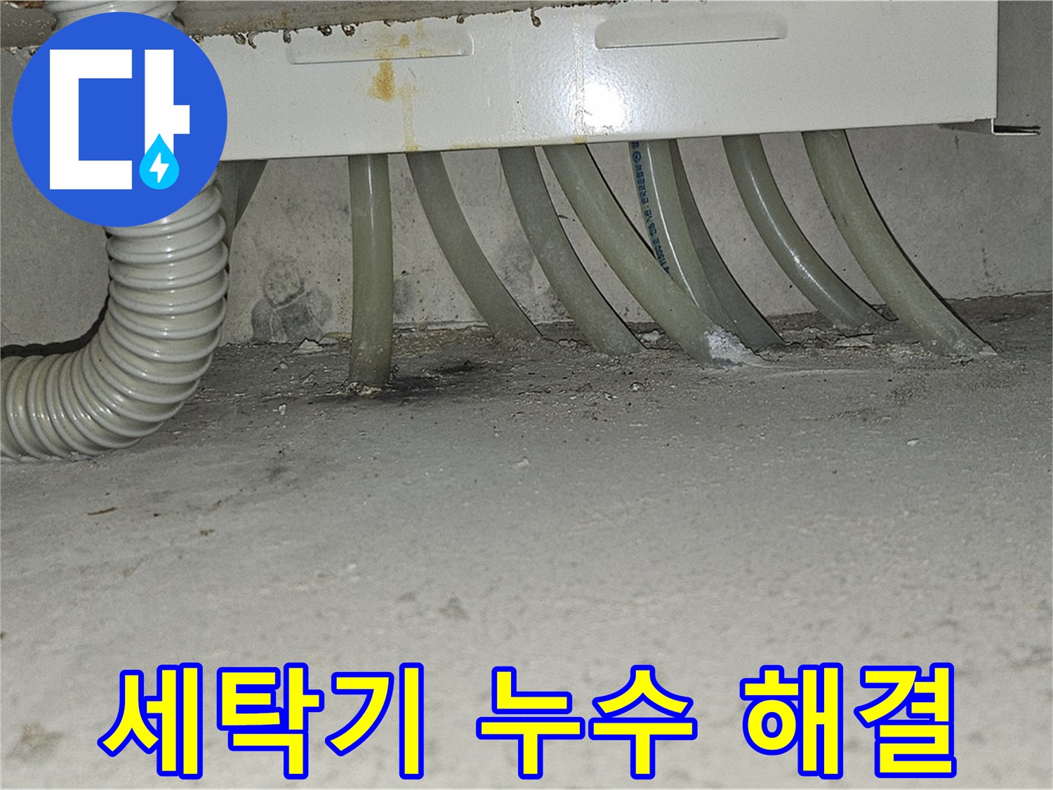 현대시티 세탁기 누수 문제 - 누수 전문가의 정확한 진단과 신속한 해결로 걱정 없이 사용하세요!