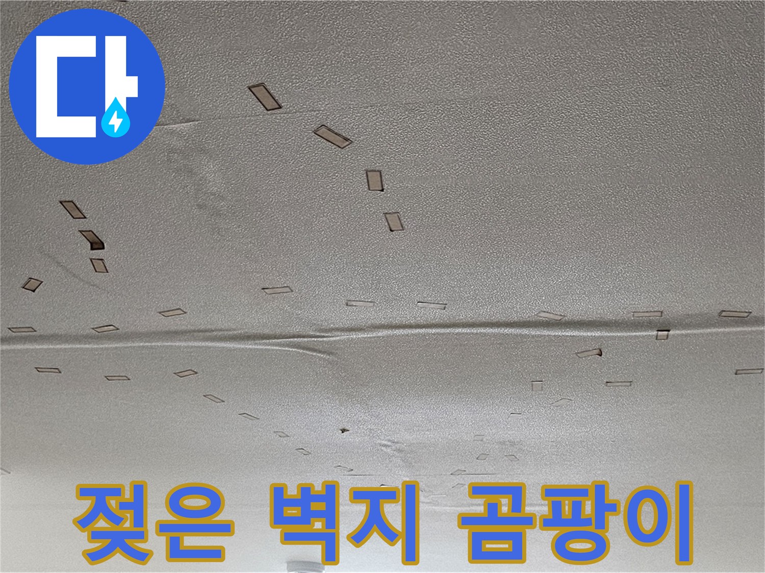 현대시티 아파트 - 젖은 벽지와 곰팡이 - 도봉구 긴급 누수 해결