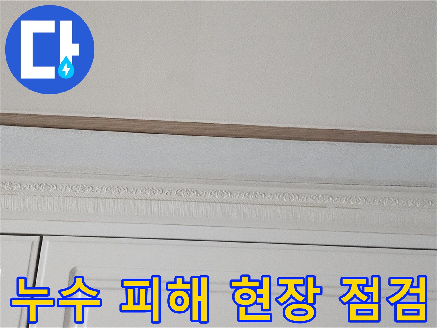 현대시티 아파트 천장 누수 - 첨단 장비 이용 누수 탐지