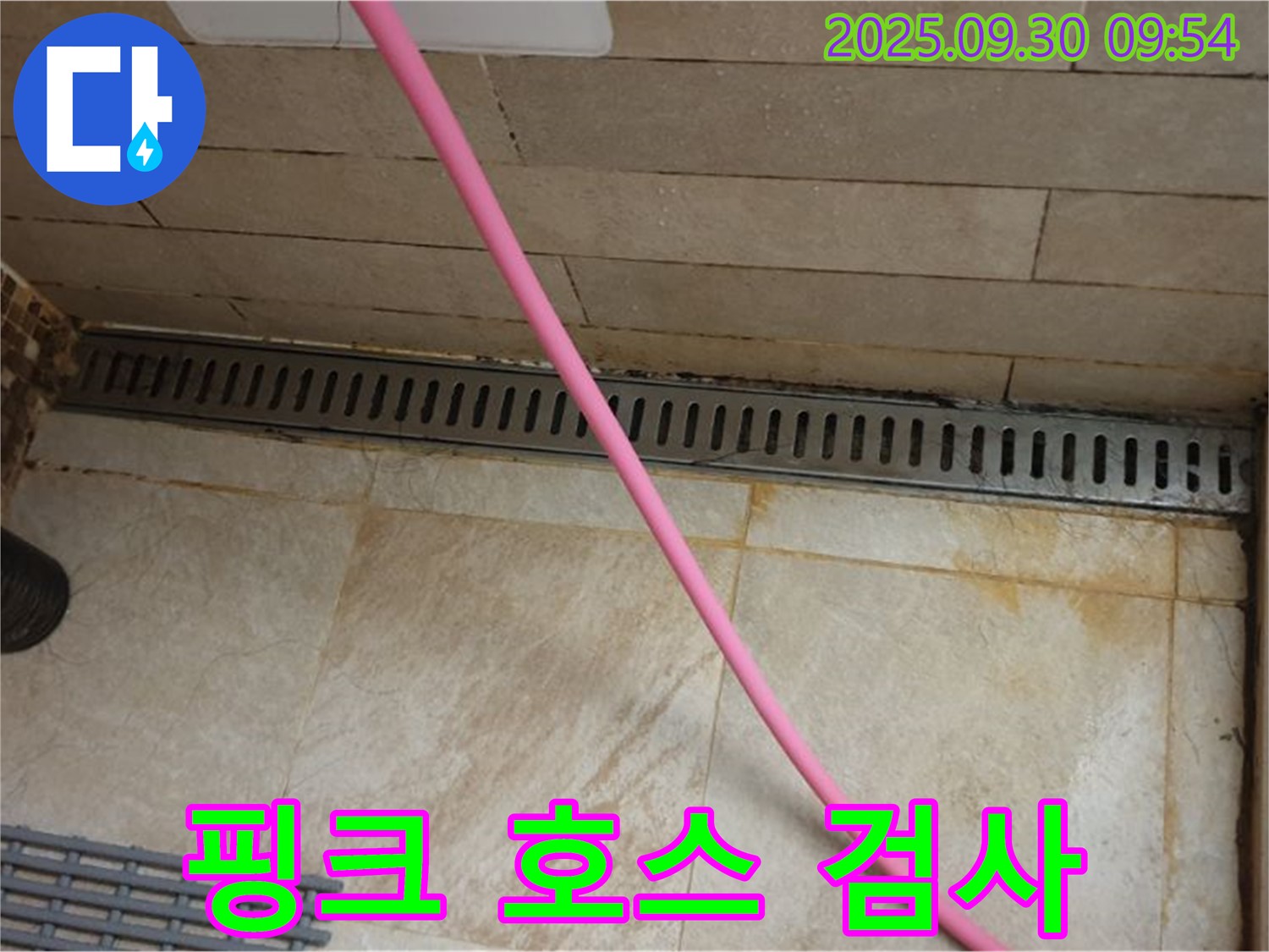 샤워실 트렌치 누수 - 핑크 호스를 사용해 누수 지점을 꼼꼼하게 검사합니다.