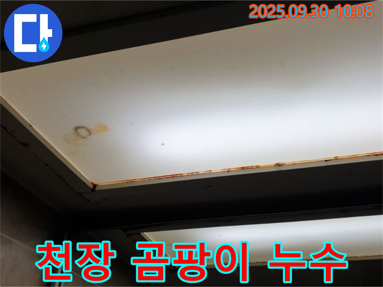 천장 곰팡이 누수 - 양주 광적면 석우리에서 누수탐지 전문가가 곰팡이가 핀 천장 누수 문제를 진단하고 있습니다.