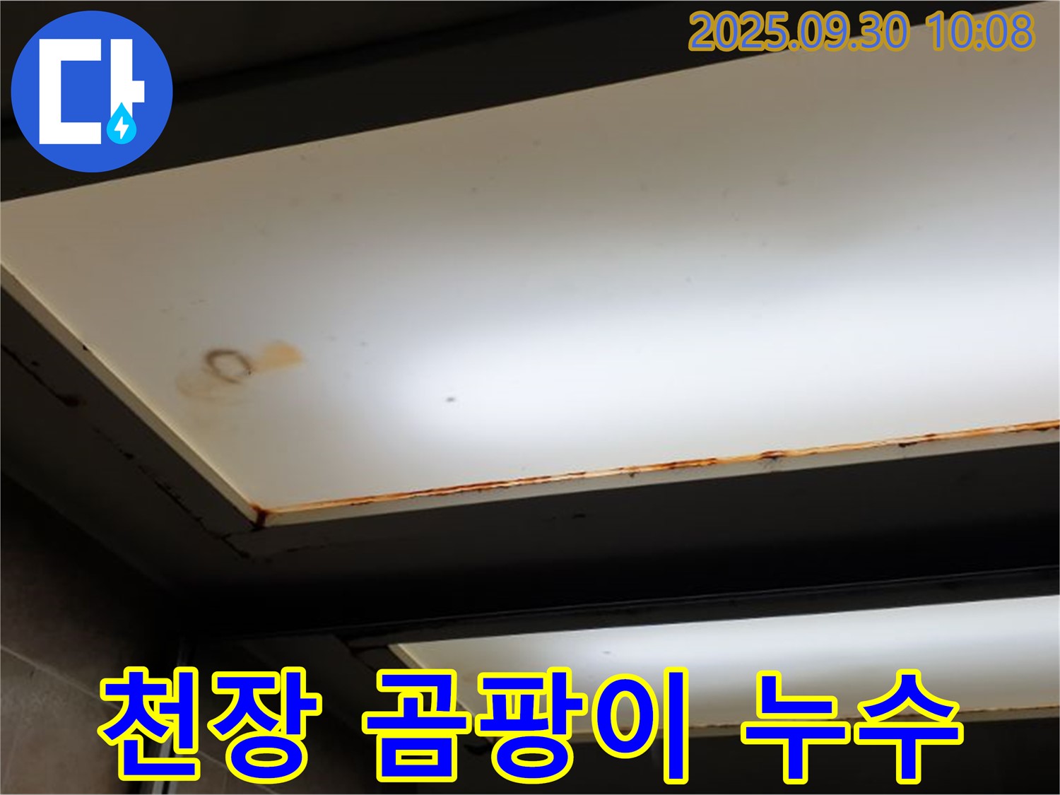 천장 곰팡이 - 누수탐지 전문가가 양주시 광적면 석우리에서 누수로 인한 곰팡이 발생 원인을 찾고 있습니다.