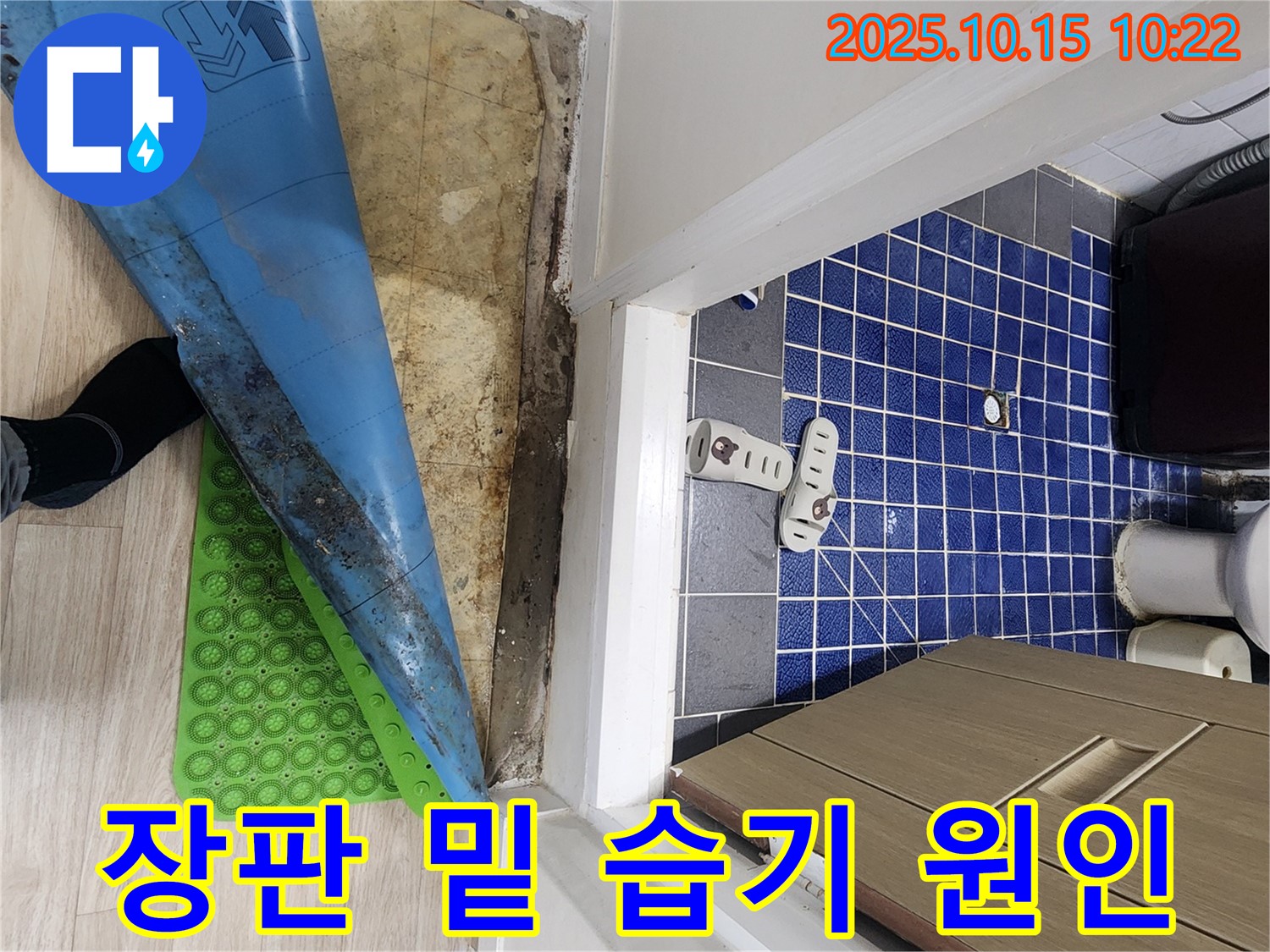 공릉동 누수 - 장판 밑 습기, 화장실 방수 문제 가능성 점검