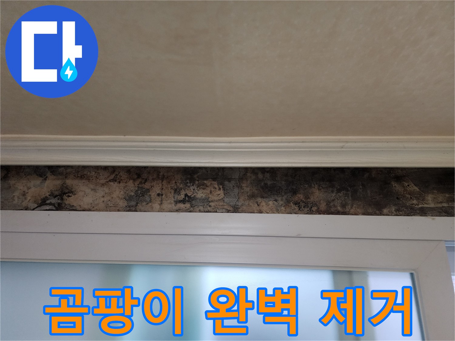 노원구 공릉동 누수 해결 - 창틀 곰팡이 원인 분석 및 완벽 제거 시공