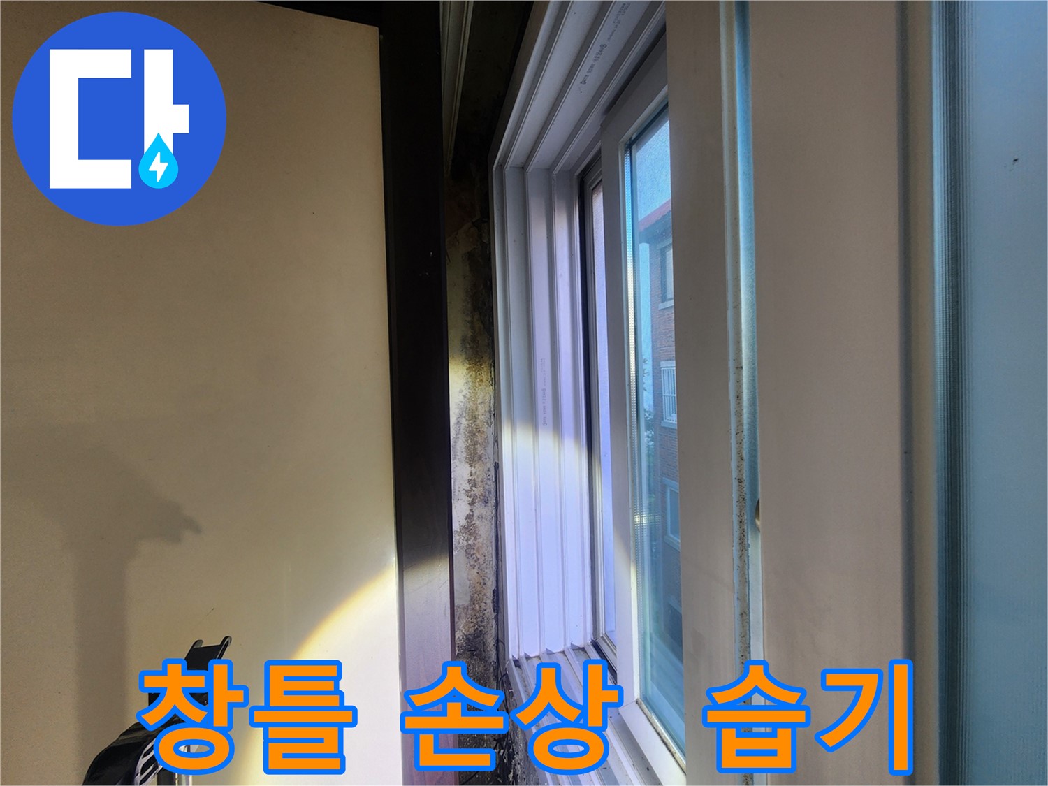창틀 실리콘 손상 및 벽면 습기 - 누수 또는 결로 가능성