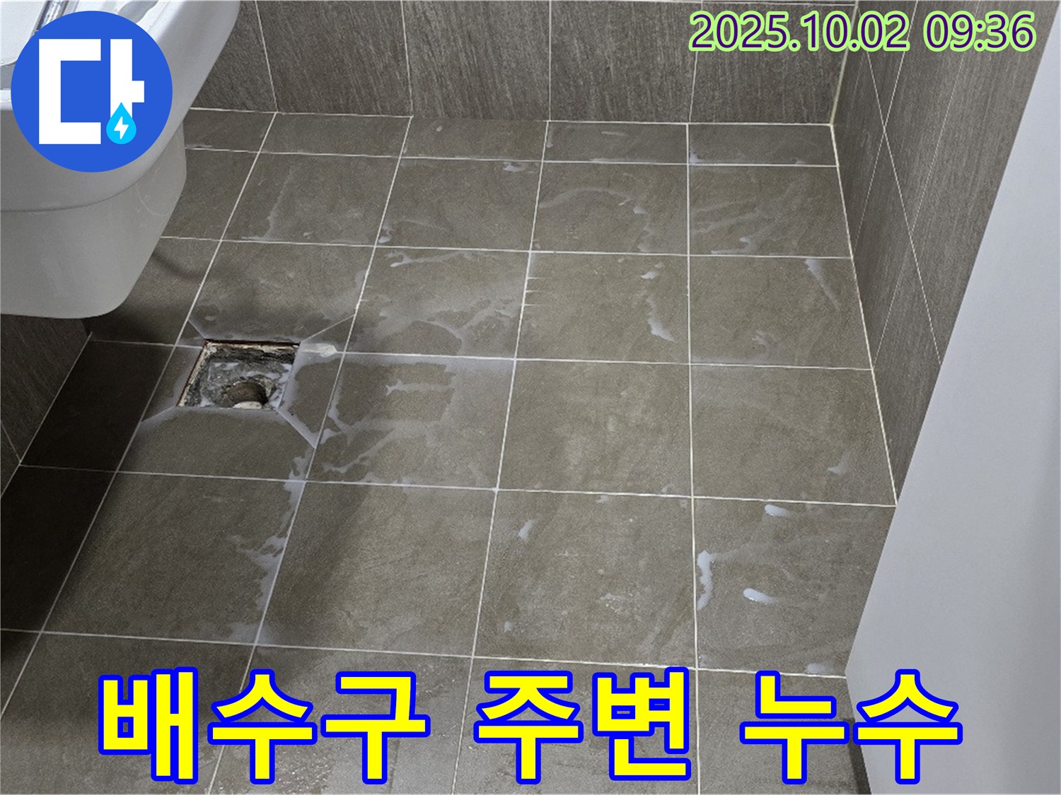 양주 남면 신산리 욕실 누수 - 배수구 주변 타일 들뜸 및 백시멘트 손상
