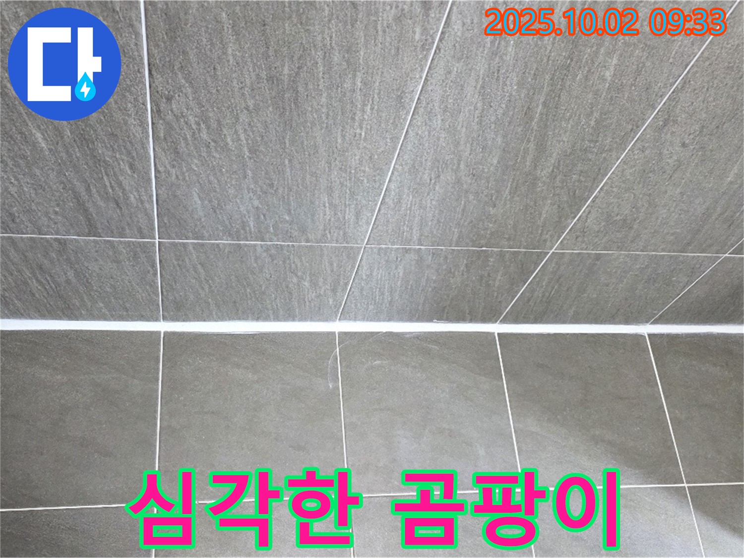 양주 신산리 욕실 실리콘 곰팡이 심각 - 곰팡이 제거 후 누수 방지 시공으로 깨끗하게 해결!