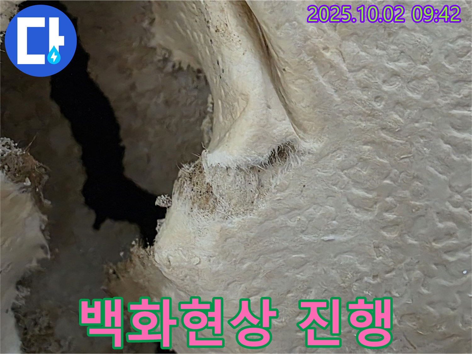 양주시 남면 신산리 주택 백화현상 진행 모습 - 누수가 계속될 경우 백화현상이 더욱 심해질 수 있습니다.