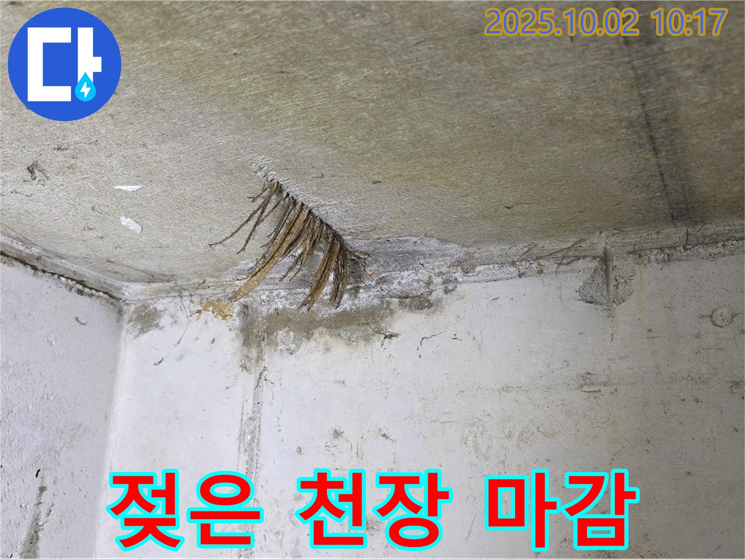 양주시 남면 신산리 천장 누수 - 젖은 천장 마감재 손상