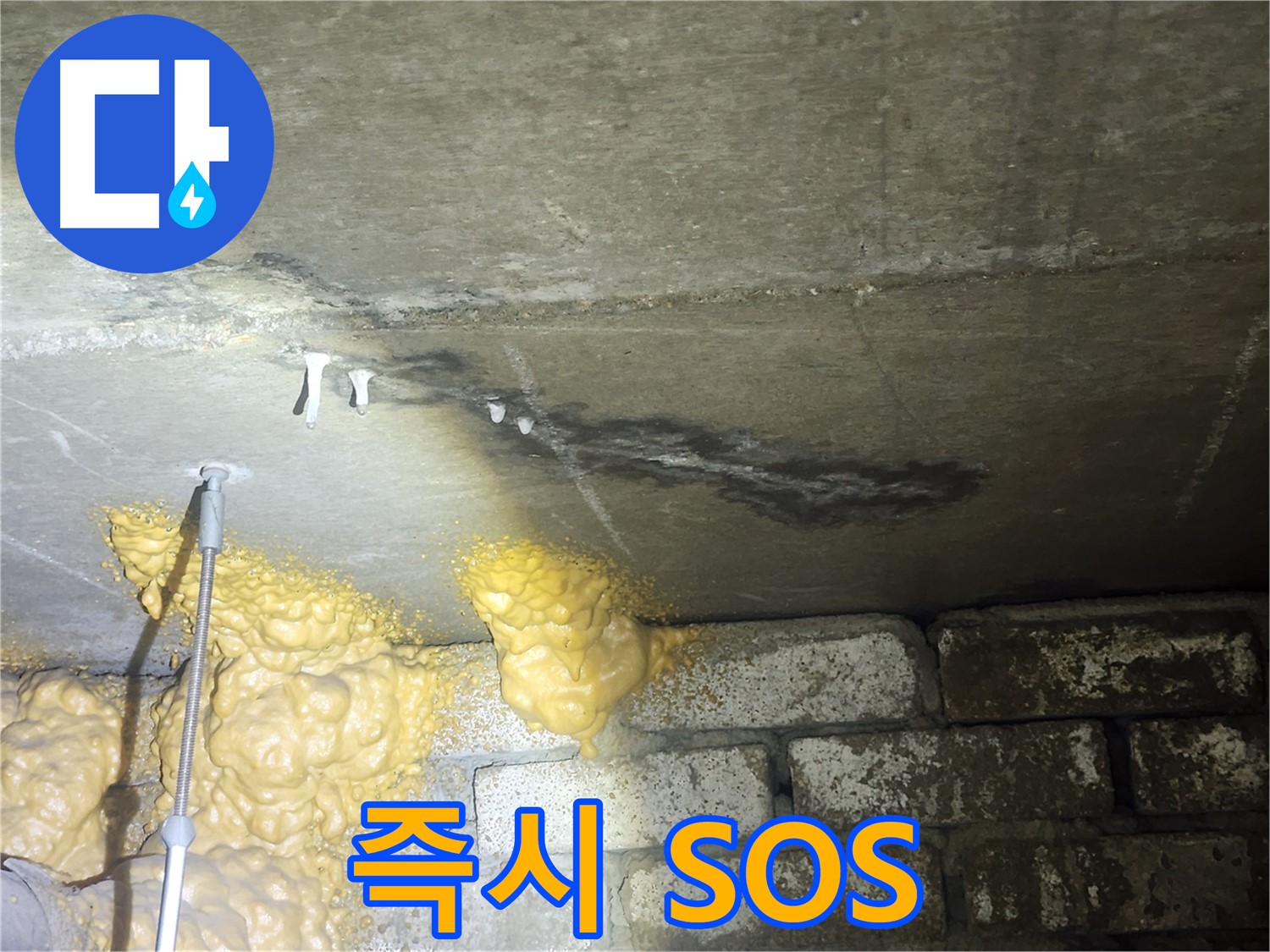 영등포 아파트 누수 - 석회수 고드름 발견 즉시 전문가에게 SOS 요청하세요!