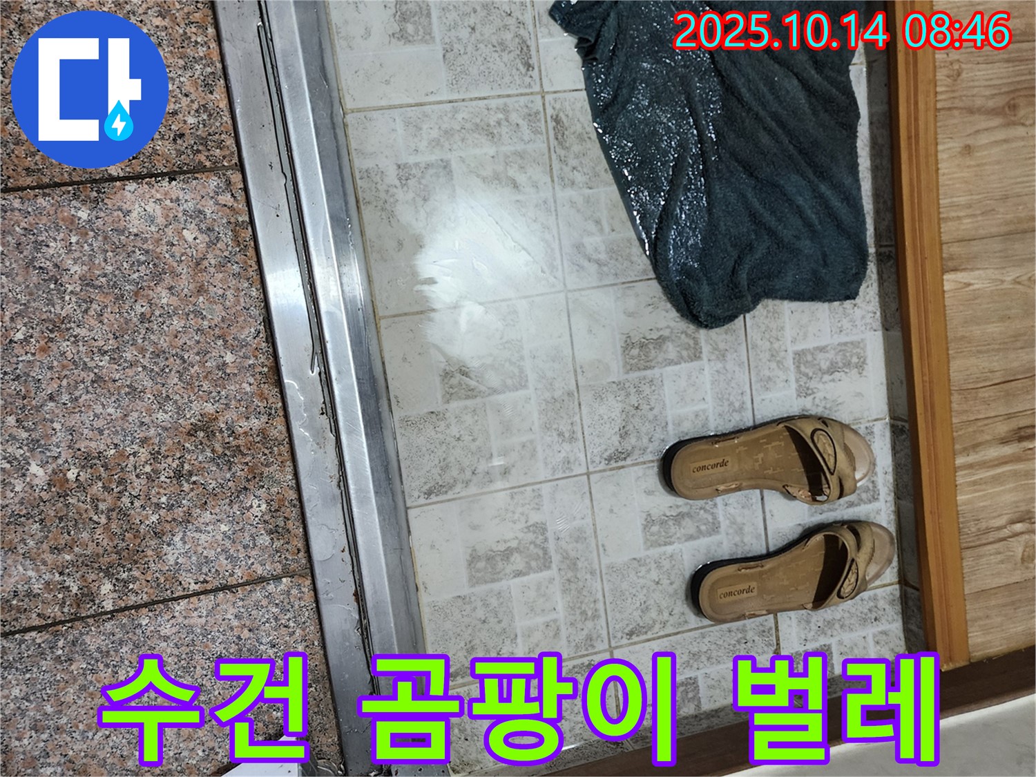 양주 남면 누수탐지 - 현관 앞 젖은 수건에서 곰팡이 냄새와 벌레가 함께 보인다면 심각한 누수를 의심해야 합니다.
