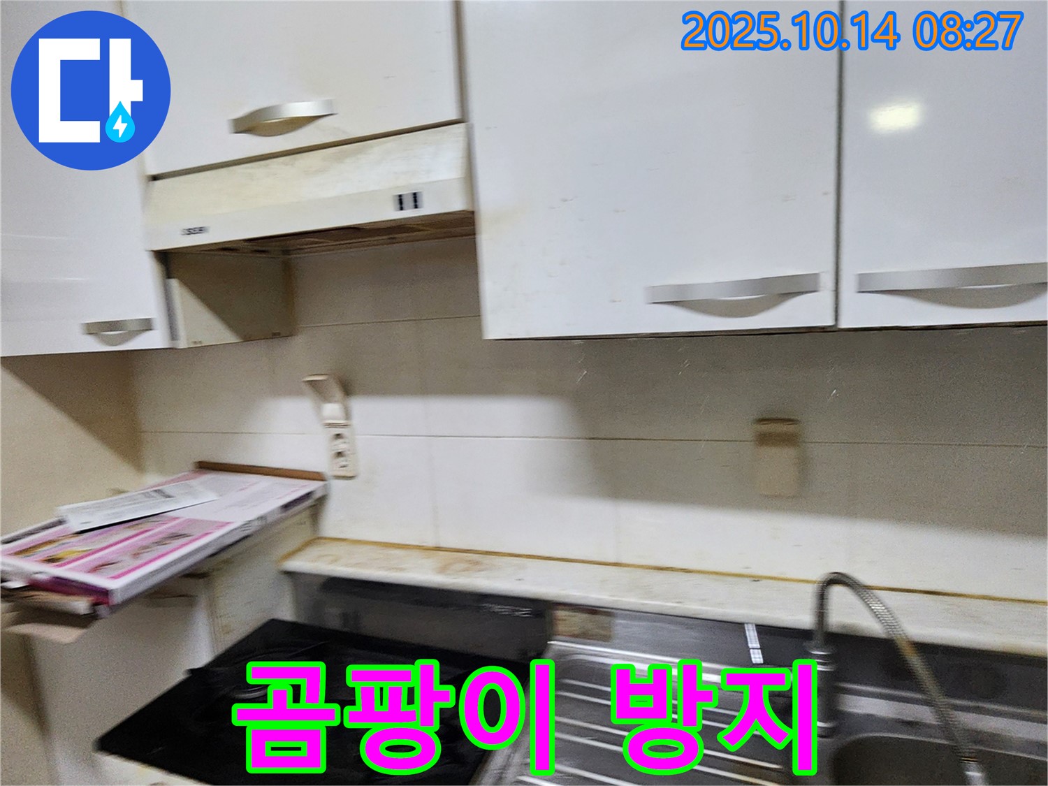 양주시 남면 두곡리 누수 - 싱크대 주변 곰팡이 문제, 누수 해결 후 꼼꼼하게 방지합니다.