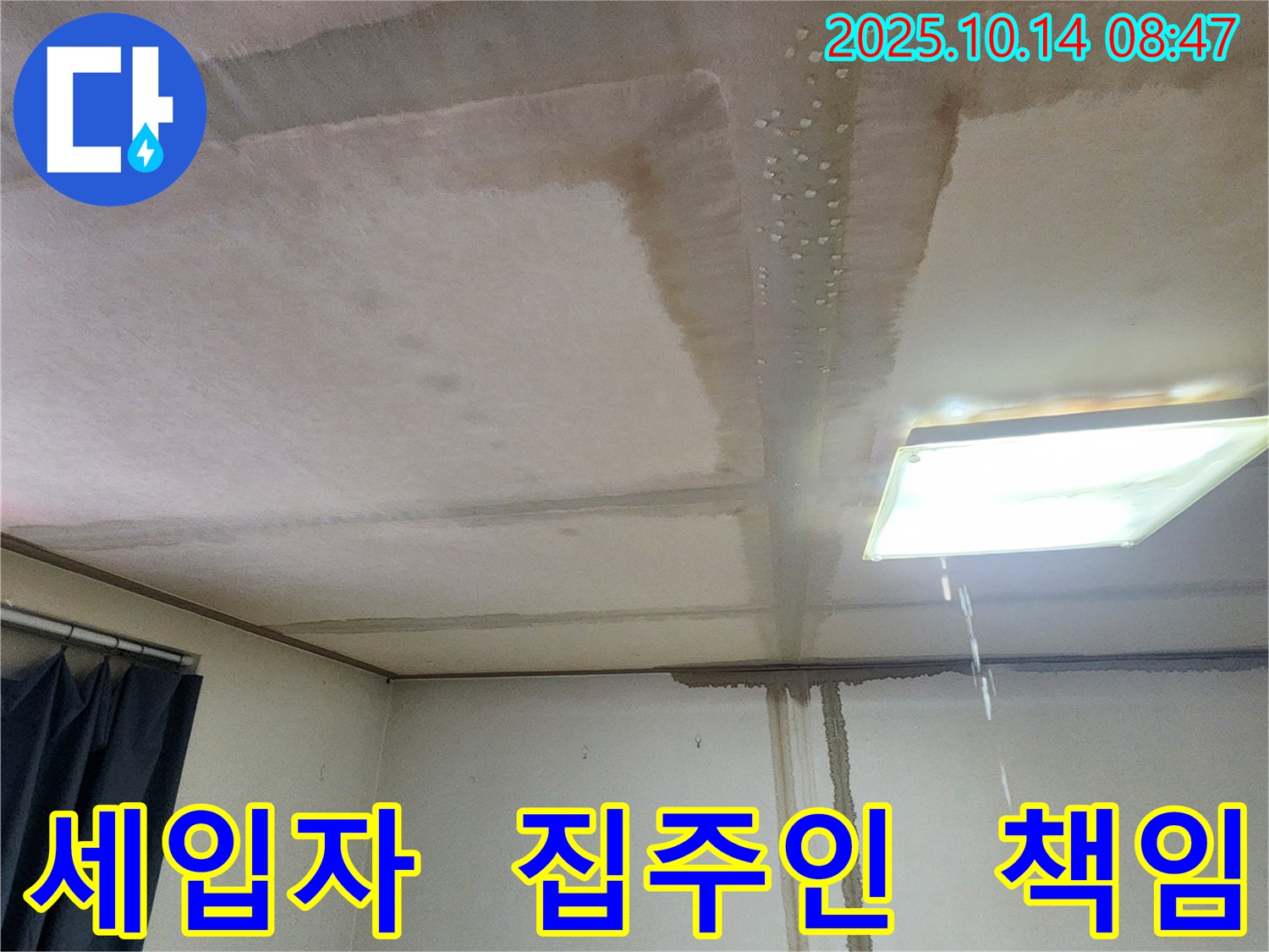 양주시 남면 두곡리 천장 누수 - 세입자 vs 집주인, 책임 소재 명확히