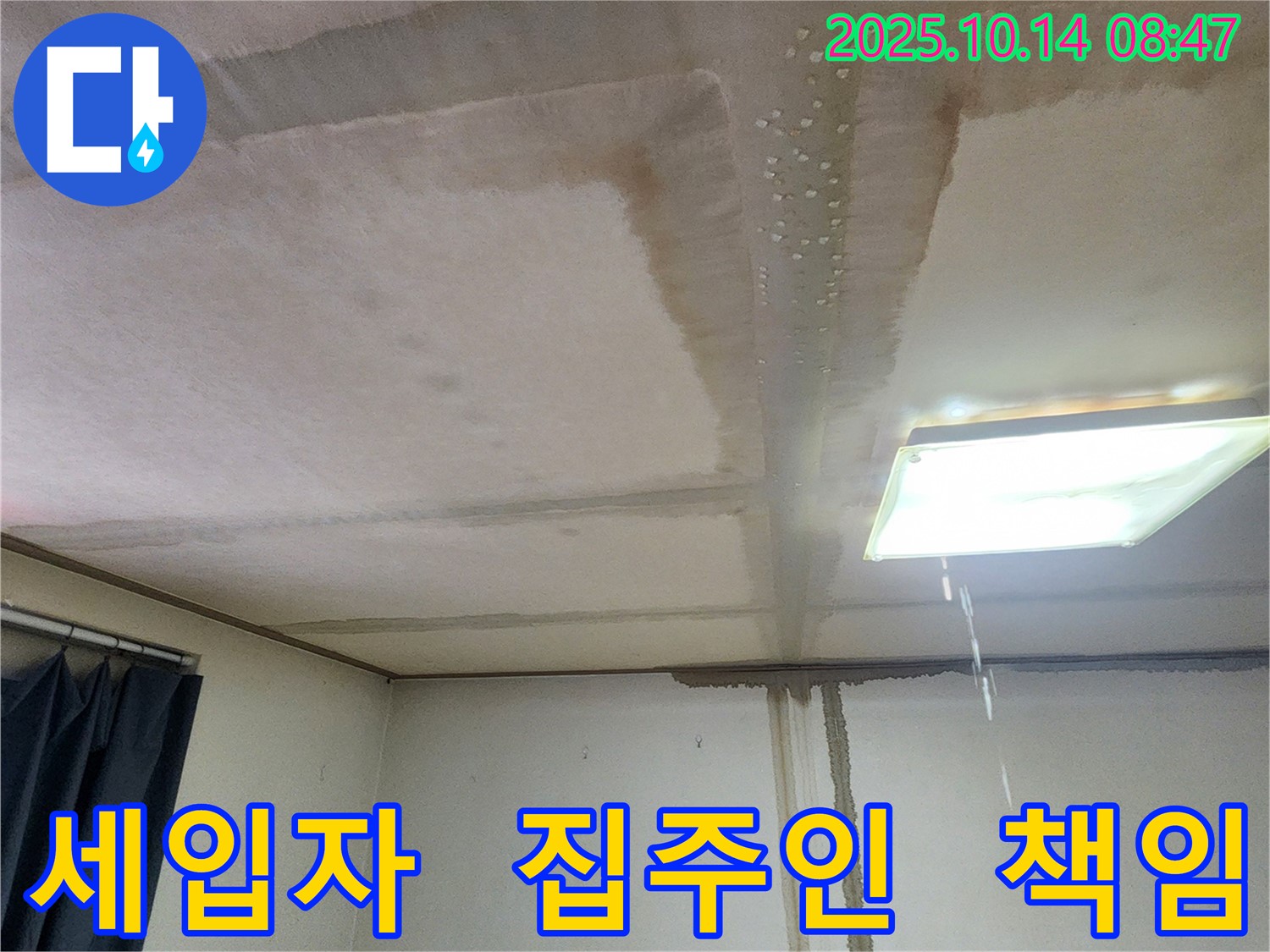 양주시 남면 두곡리 천장 누수 - 세입자 vs 집주인, 책임 소재 명확히