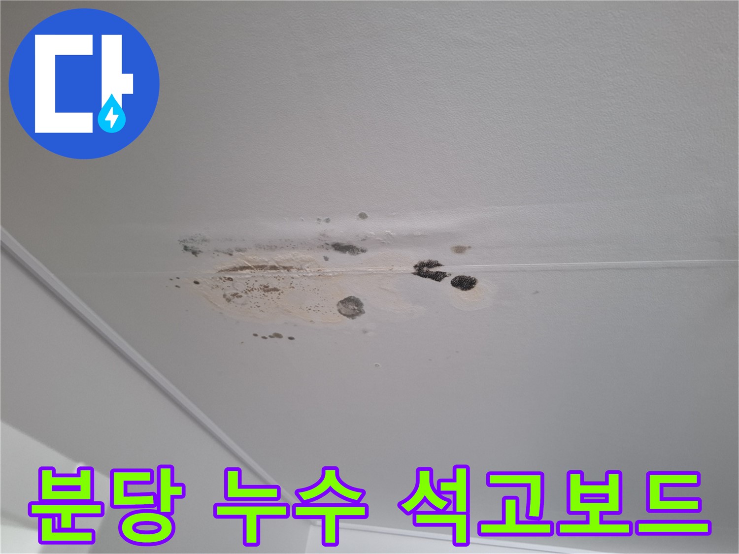 누수 석고보드 - 곰팡이와 함께 건물 손상 가속화