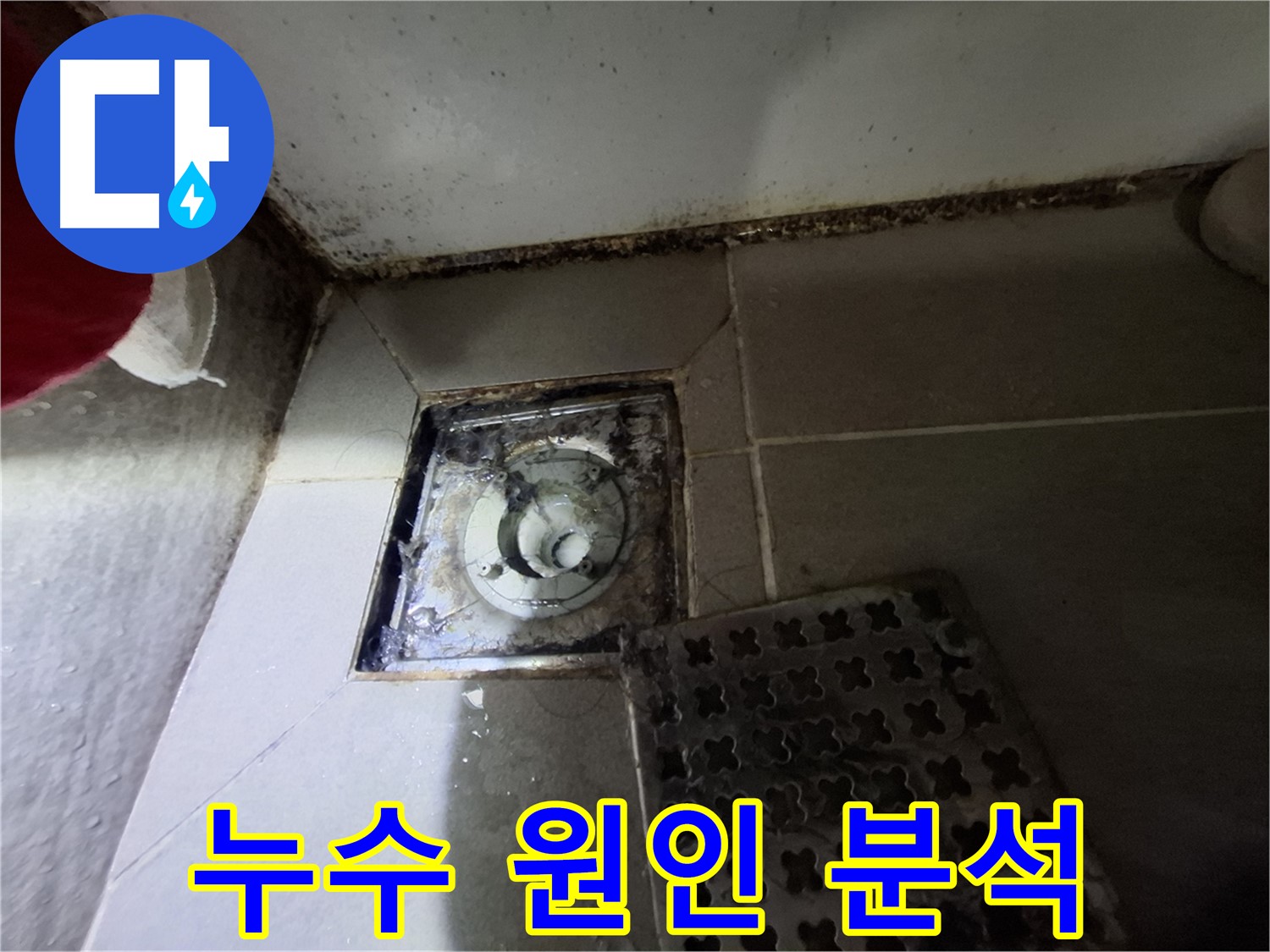 봇들마을 아파트 욕실 배수구 누수 - 정확한 원인 분석과 맞춤형 해결책 제시