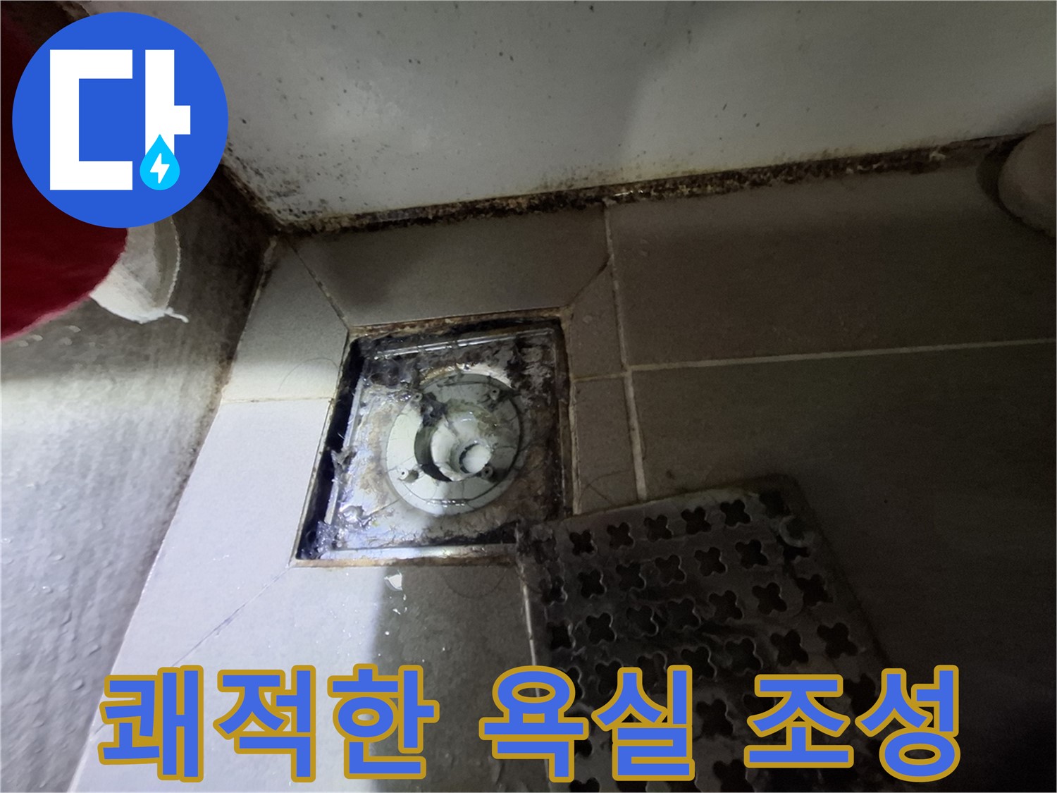봇들마을2단지 아파트 욕실 - 곰팡이 싹쓰리 제거, 쾌적한 욕실 환경 조성