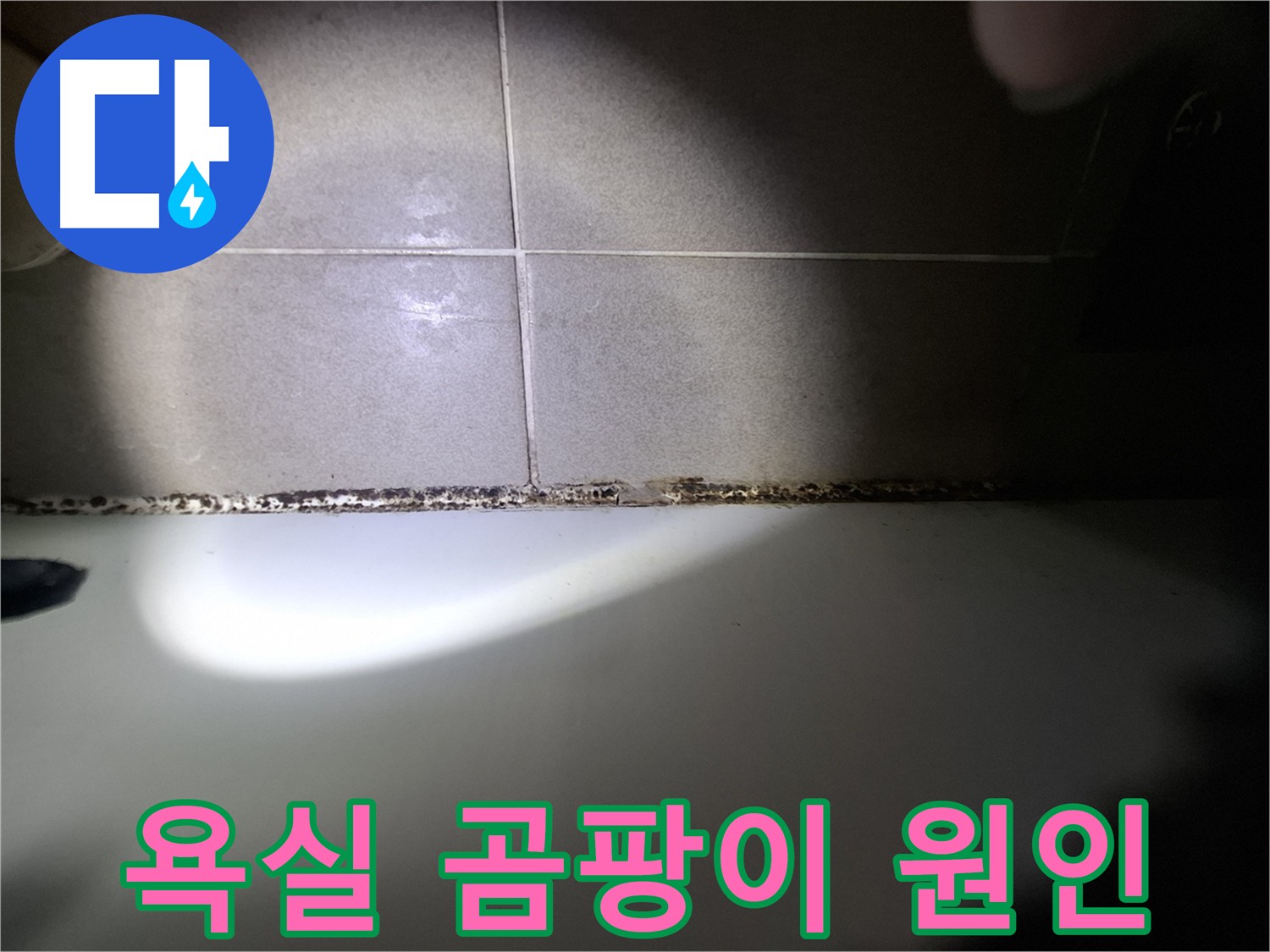 욕실 곰팡이 - 습기 및 환기 부족이 주요 원인