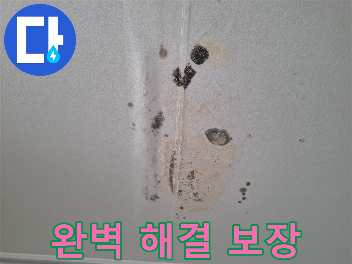 분당 봇들마을 아파트 누수 - 206동 누수 문제, 완벽하게 해결 보장!